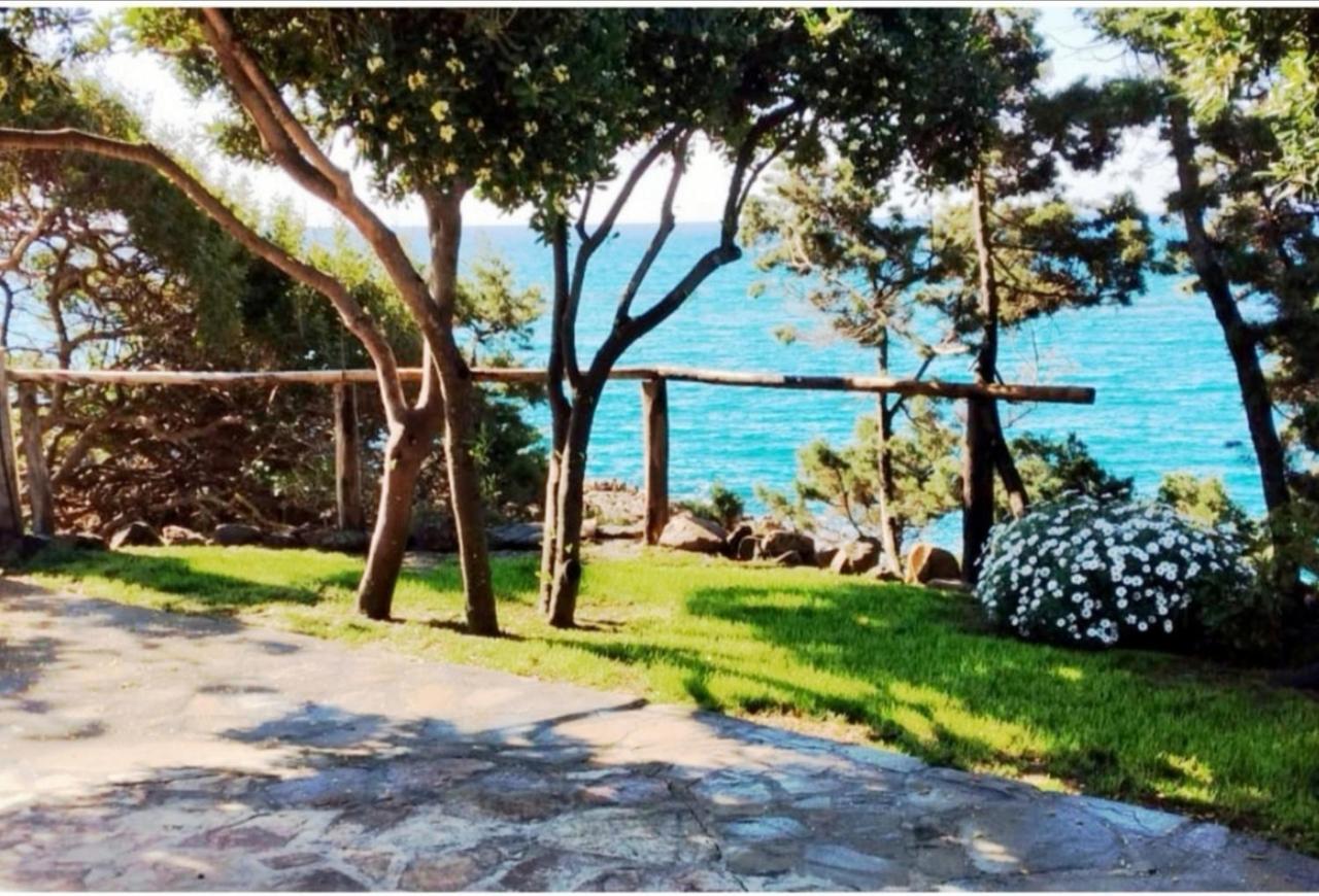 Villa Vera Trifamigliare Con Ingresso Diretto 20 Mt Al Mare Clima Wi-Fi Bbq Cala Liberotto Ngoại thất bức ảnh